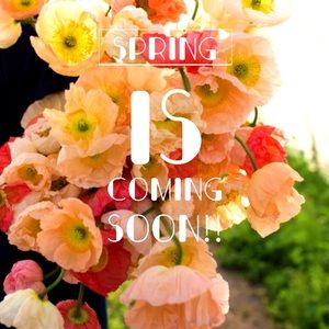 Spring is around the bend!